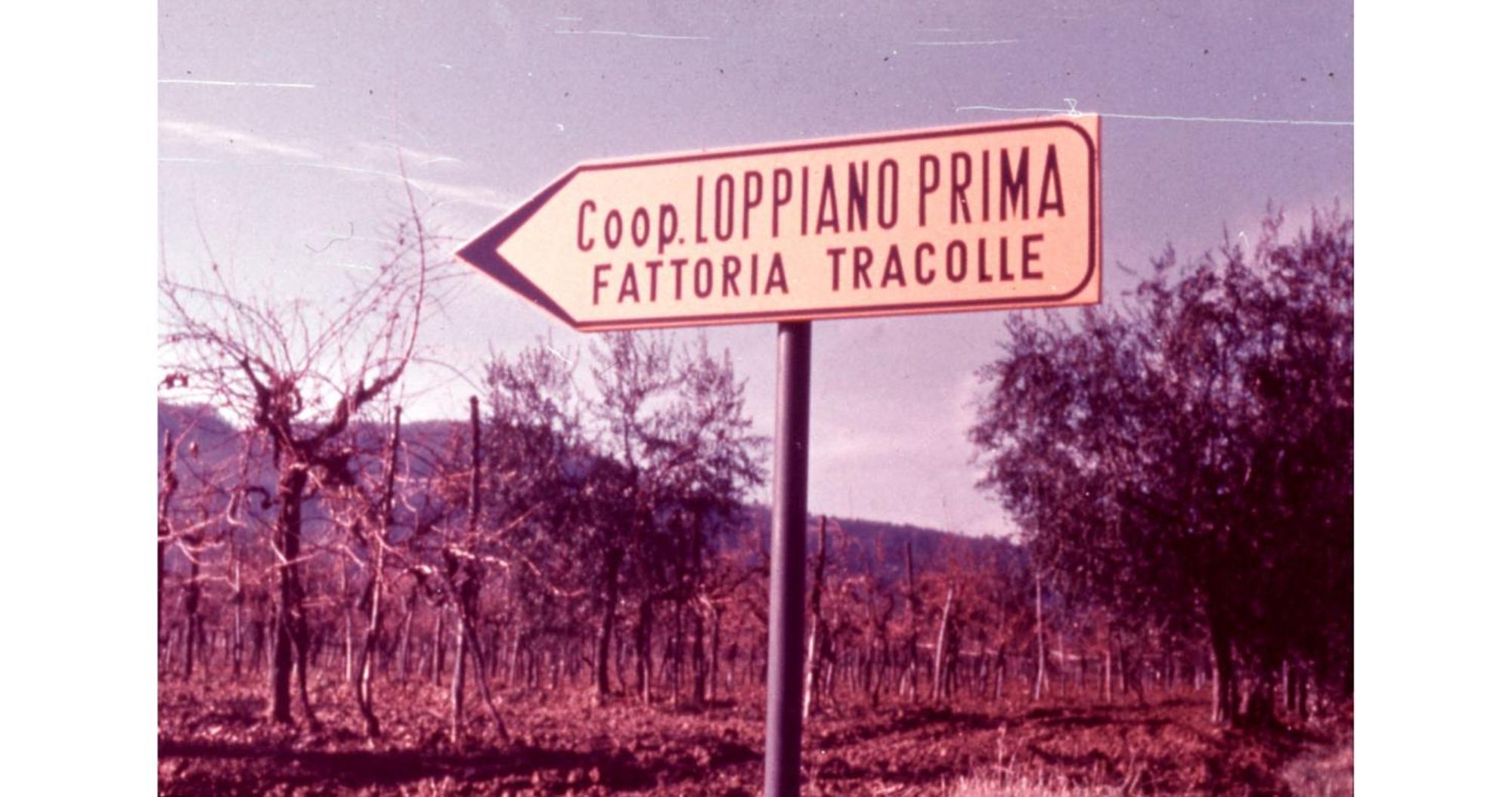 Willa Agriturismo Fattoria Di Loppiano Regina Mundi Vivajo Zewnętrze zdjęcie