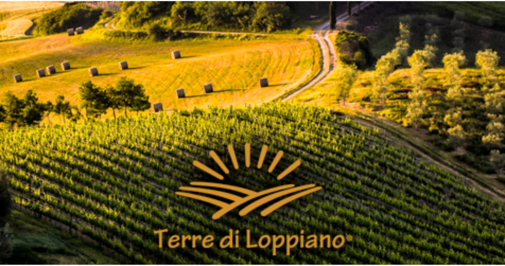 Willa Agriturismo Fattoria Di Loppiano Regina Mundi Vivajo Zewnętrze zdjęcie